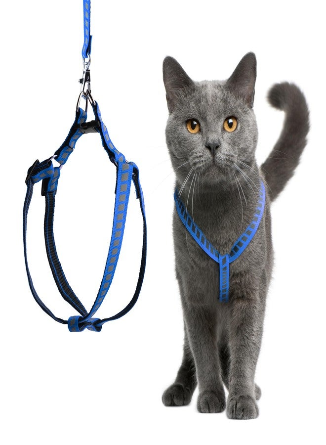 Filbert Cat Harness and Leash Set with Reflective Strip, Thin Cat Harness Escape Proof with Leash, Step-in, Adjustable, Indoor Outdoor, Easy-to-Put-On - Image 1